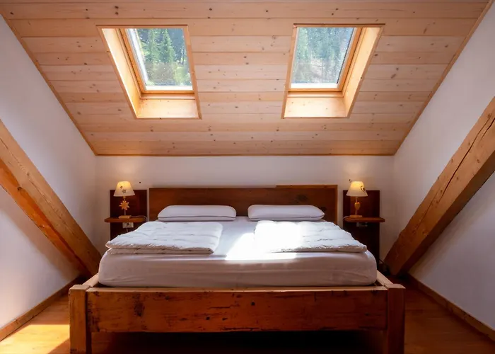 Cesa Cianacei Prestige * קאנזיי